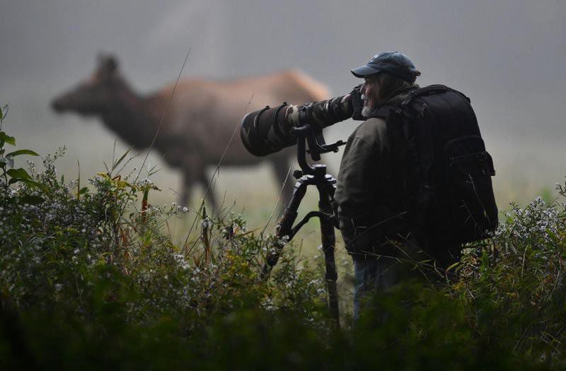 Call of the wild: Tourists flock to Benezette, Pa., to see, hear and photograph elk, fall foliage